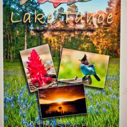 Hand-Made & Painted Wood Kokanee Salmon Magnet - thumbnail 2