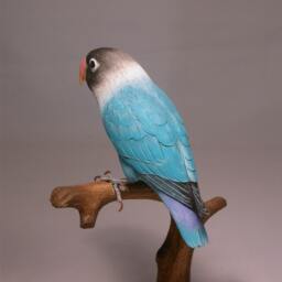 Masked Lovebird - B Hand Carved Wooden Bird - thumbnail 4