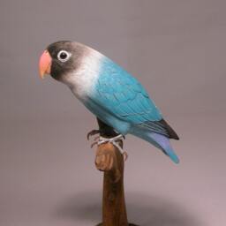 Masked Lovebird - B Hand Carved Wooden Bird - thumbnail 2