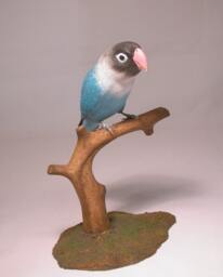 Masked Lovebird - B Hand Carved Wooden Bird