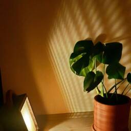 Walnut Wood Floor Lamp - Tax Included - thumbnail 4