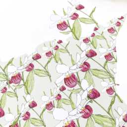 Minnesota State Flower Map Watercolor Pink & White Ladys Slipper - Art Print Wall Graduation Wedding Anniversary Realtor Moving Gift - thumbnail 2