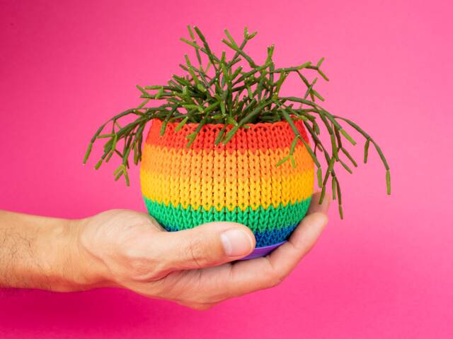 Rainbow Knit Planter Personalized Colors 3.25 Inch - image 1