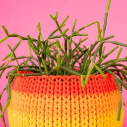 Rainbow Knit Planter Personalized Colors 3.25 Inch - thumbnail 3