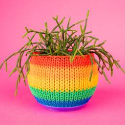 Rainbow Knit Planter Personalized Colors 3.25 Inch - thumbnail 2