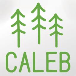Name Decal, Personalized Nursery Boy Room Wall Decal, Pine Tree Decor, Camping Adventure Nature Woodland Decal - thumbnail 2