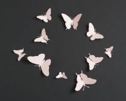 3D Wall Art Light Pink Butterflies For Nursery, Girl's Room - thumbnail 1