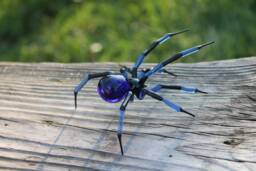 Glass Figurine Garden Spider, Blown Handblown Glass Animal Figurine, Insect, Murano - thumbnail 1
