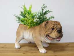 Plant Pup Bulldog Themed Planter - thumbnail 1