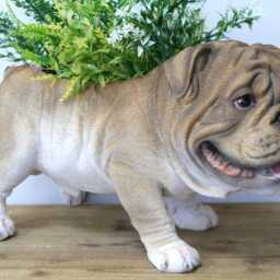 Plant Pup Bulldog Themed Planter - thumbnail 2