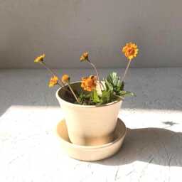 Pottery Plant Pot, Planter W Dish, Succulent With Hole, Ceramic Pot & Plate, Beige Planter, With Drainage - thumbnail 2