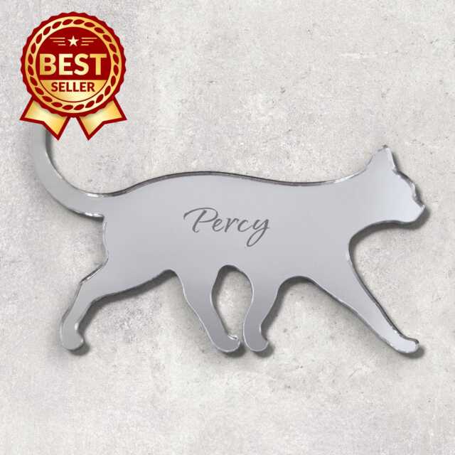 Personalized Cat Acrylic Mirror Wall Art Engraved Pet Silhouette - image 1