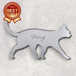 Personalized Cat Acrylic Mirror Wall Art Engraved Pet Silhouette