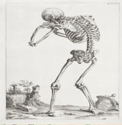 Skeleton- Can Be Customizeable Personlized - Cushion Cover Case Or Stuffed With Insert - thumbnail 2