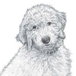 Dog Print - Goldendoodle Baby Shower Thumbprint Guestbook Nursery Art Fingerprint Balloons Labradoodle Gift - thumbnail 2