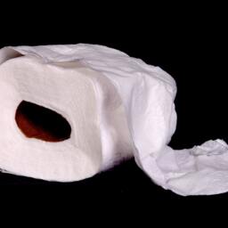 Smooth Tp Handcrafted Wooden Roller For Toilet Paper - thumbnail 2