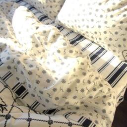 Nautical Anchor Print Twin Xl Duvet Cover Set - Cotton Dorm Bedding - thumbnail 3