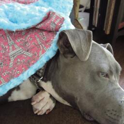 "Paris Eiffel Tower Pink Throw ""Chloe Belle" - thumbnail 3