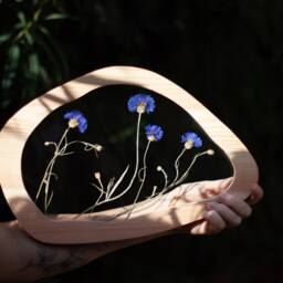 Pressed Cornflowers Art - Wavy Pressed Flower Frame Wall Decor Botanical Framed Botanicals Decor - thumbnail 2