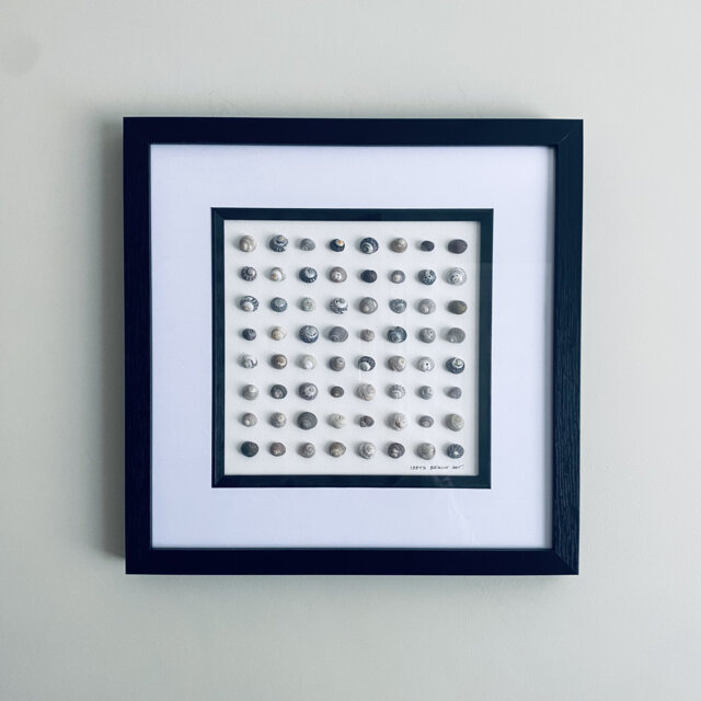 Cornish Perriwinkle Shell Art Picture Framed Symmetrical Artwork Handmade in Cornwall - image 1