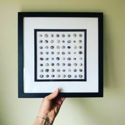 Cornish Perriwinkle Shell Art Picture Framed Symmetrical Artwork Handmade in Cornwall - thumbnail 2