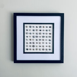 Cornish Perriwinkle Shell Art Picture Framed Symmetrical Artwork Handmade in Cornwall - thumbnail 1