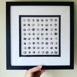 Cornish Perriwinkle Shell Art Picture Framed Symmetrical Artwork Handmade in Cornwall - thumbnail 3