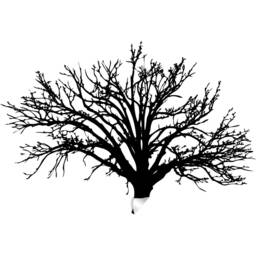 Tree Sticker Decal - Wall Birch Art Vinyl Nursery Stickers Nature Botanical Trees Decals Forest Decor Natural Big Winter Peel & Stick - thumbnail 2