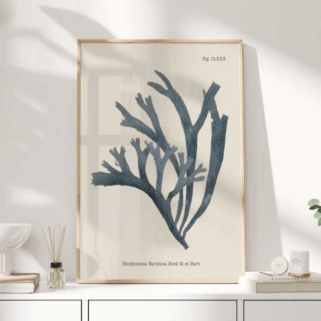 Antique Seaweed Wall Art, Vintage Rhodymenia Variolosa Botanical Print, Ocean Algae Poster For Bathroom, Coastal Kitchen Or Beach House - image 1
