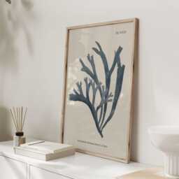 Antique Seaweed Wall Art, Vintage Rhodymenia Variolosa Botanical Print, Ocean Algae Poster For Bathroom, Coastal Kitchen Or Beach House - thumbnail 3