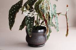 Curvy Textured 6'' Planter & Saucer Set