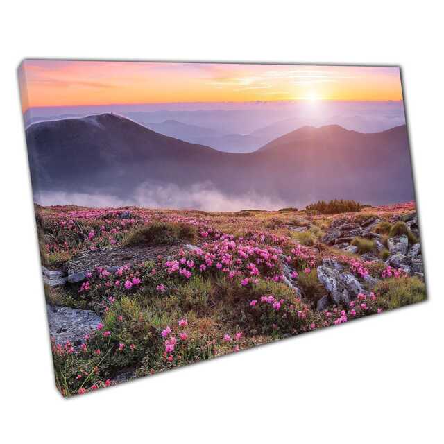 Pink Rhododendron Canvas Print - Summer Sunset Over Carpathian Mountains Home Office Decor - image 1