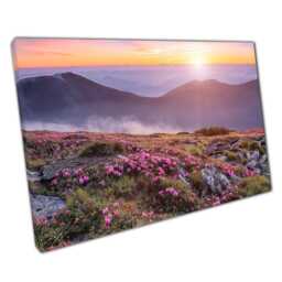 Pink Rhododendron Canvas Print - Summer Sunset Over Carpathian Mountains Home Office Decor - thumbnail 1