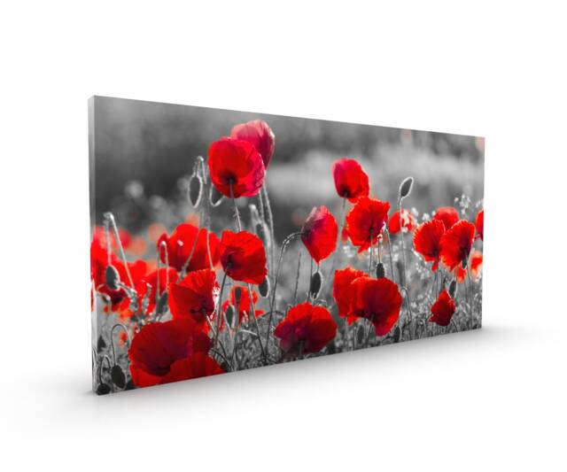 Red Poppies Against A Black & White Background Canvas Framed Glossy Premium With Metal Hanger Various Sizes - 30 X 16 Inches - image 1