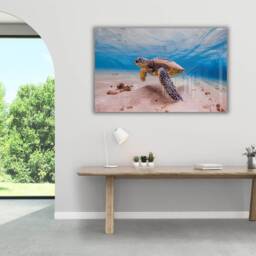 Sea Turtle Glass Wall Art - Underwater Ocean Scene Tempered Print For Bathroom, Living Room & Coastal Decor - thumbnail 2