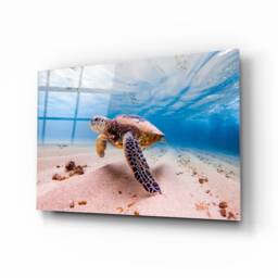 Sea Turtle Glass Wall Art - Underwater Ocean Scene Tempered Print For Bathroom, Living Room & Coastal Decor - thumbnail 1