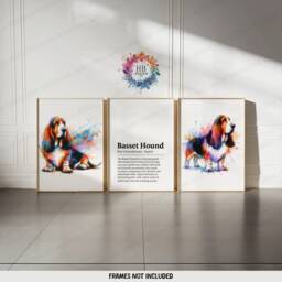 Basset Hound Prints - Set Of 3 Posters - Watercolor Definition Wall Art Colourful Painting Room Decor Dogs Pet Artwork Gift Image - thumbnail 1