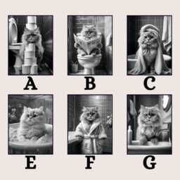 Funny Persian Cat Bathroom Print, Toilet Wall Art, Quirky Guest Decor, Poster, Lover Gift - thumbnail 3