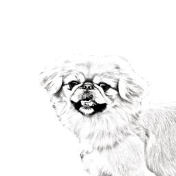 Pekingese - Wooden Stand For Candles/Pens With The Image Of A Dog New Collection - thumbnail 2