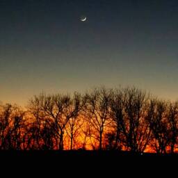 Crescent Moon At Nightfall Framed Print - thumbnail 4