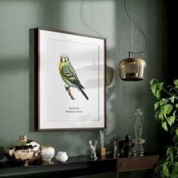 Bird Print, Budgie Poster, Garden Birds, Tropical Lover Gift, Watching, Illustration, Wall Decor - thumbnail 3
