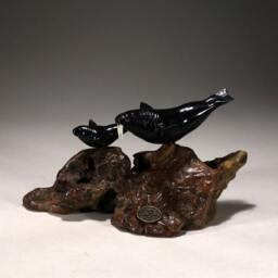 Walrus & Calf Sculpture By John Perry 8In Long Ebonite Decor On Burlwood Base - thumbnail 3