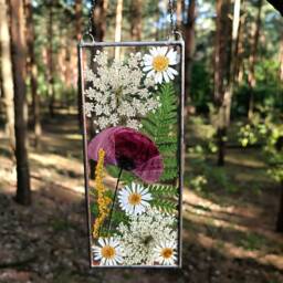stained Glass Pressed Flower Frame Real Poppy Suncatcher, Wall Decor - thumbnail 3