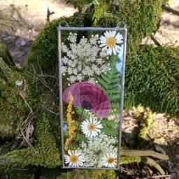 stained Glass Pressed Flower Frame Real Poppy Suncatcher, Wall Decor - thumbnail 2
