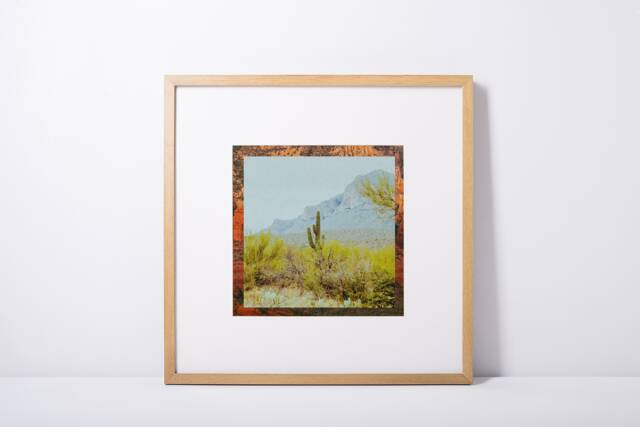 "Wall Decor, Digital Download, Printable Art, Botanical Desert Cactus, Cactus Modern Fine Colorful Art ""Tucson" - image 1