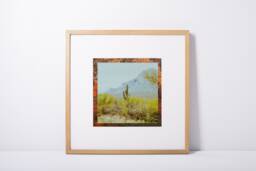 "Wall Decor, Digital Download, Printable Art, Botanical Desert Cactus, Cactus Modern Fine Colorful Art ""Tucson" - thumbnail 1