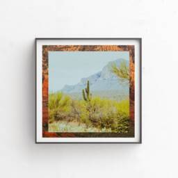 "Wall Decor, Digital Download, Printable Art, Botanical Desert Cactus, Cactus Modern Fine Colorful Art ""Tucson" - thumbnail 3
