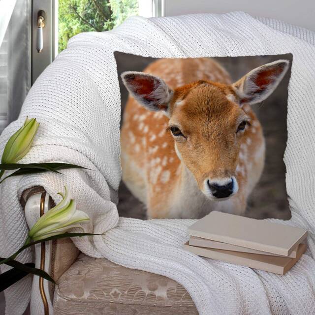 Deer Doe Country Woodland - Photography Super Soft Decorative Pillow Throw Cushion, Case Cover Or With Filling Luxury Velvet