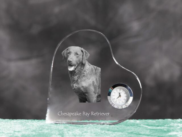 Chesapeake Bay Retriever - Crystal Clock in The Shape Of A Heart With Image Pure-Bred Dog - image 1