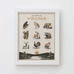 Virginia Wildlife Wall Art Print - Vintage Animal Poster Design, Archival Quality Matte Fine Art Print. Outdoor, State Gift - thumbnail 1